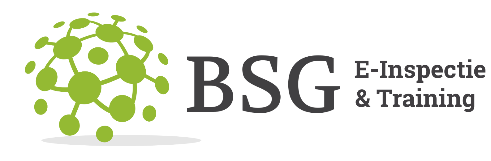 BSG E-Inspectie & Training